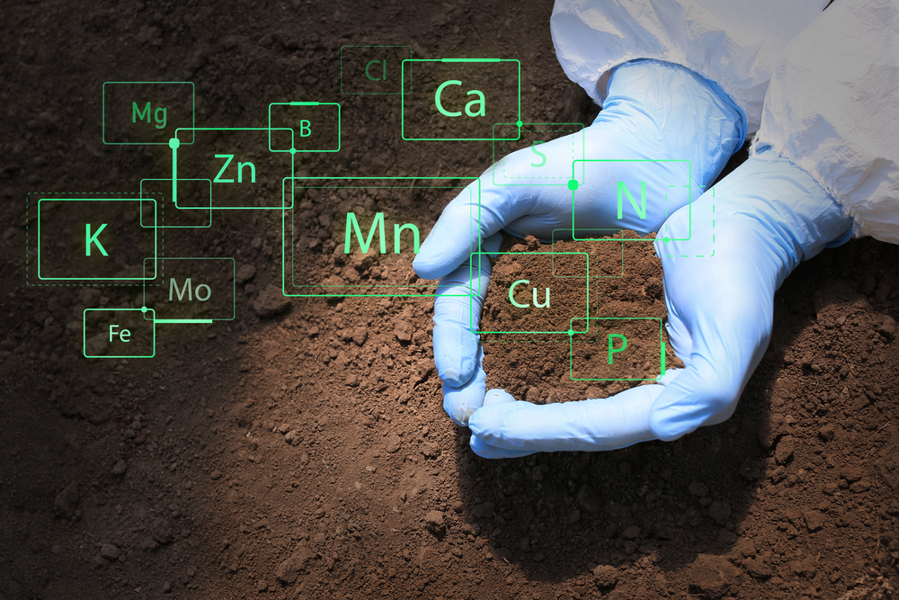 Soil Health & Ecosystems